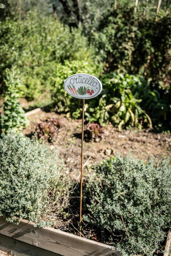 Terre Di Cocomo ボルゴ・ア・ブッジャーノ エクステリア 写真